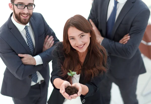 Sonriente equipo de negocios muestra un brote fresco — Foto de Stock