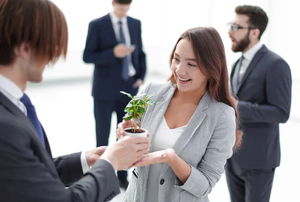 Hombre de negocios y mujer de negocios sosteniendo una olla con brotes — Foto de Stock