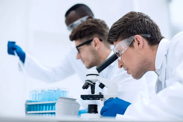 Group of young scientists working with liquids — Stock Photo, Image