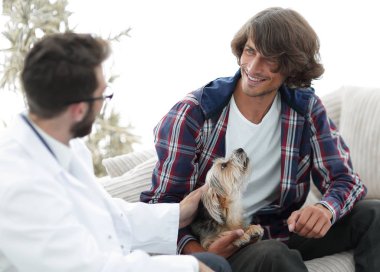 belgili tanımlık Yorkshire korkunç bir muayene veteriner yürütmektedir.
