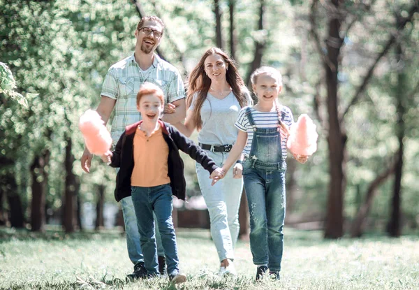 Vrolijke familie besteedt tijd in het Park — Stockfoto