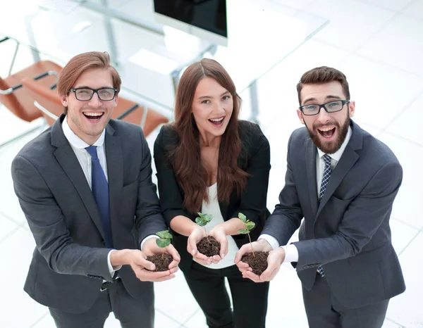 Tres colegas sostienen brotes jóvenes — Foto de Stock