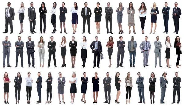 Collage of a variety of business people standing in a row — Stock Photo, Image