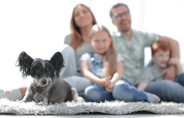Imagen de fondo de familia feliz con mascota —  Fotos de Stock