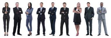 Dost canlısı iş adamlarının portresi