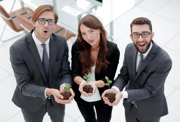 Tres colegas sostienen brotes jóvenes — Foto de Stock