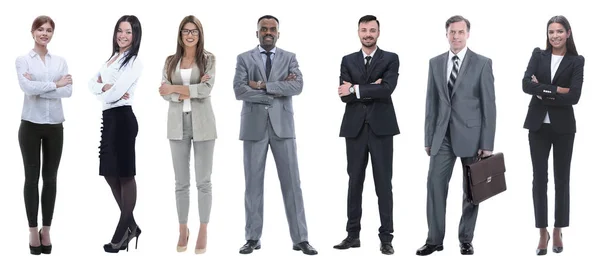 Collage of a variety of business people standing in a row Royalty Free Stock Photos