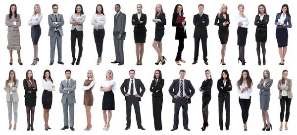 Pessoas de negócios bem sucedidos isolados em fundo branco — Fotografia de Stock