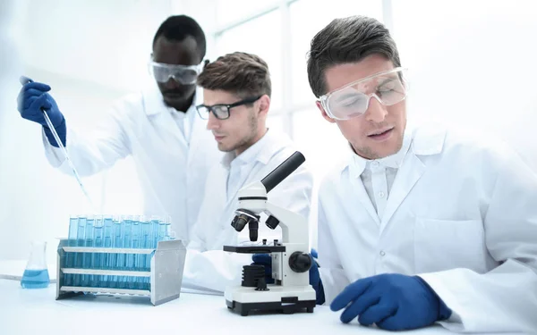 Skupina vědců pracujících v laboratoři — Stock fotografie