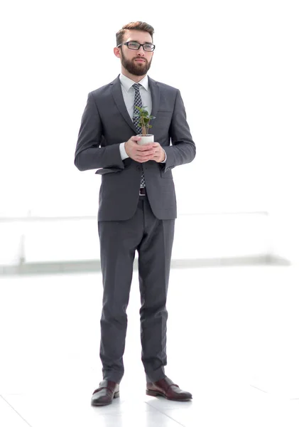 Hombre de negocios está sosteniendo una planta joven verde — Foto de Stock