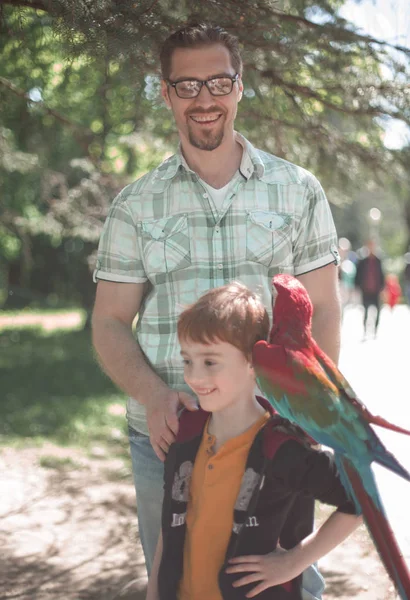 Portret van vader en zoon met Ara papegaai — Stockfoto