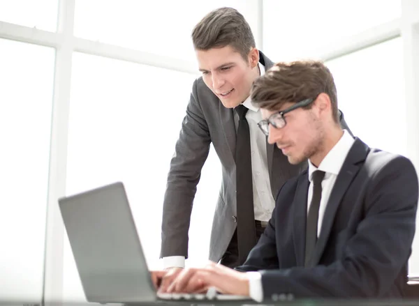 Anställda använder en bärbar dator för att kontrollera den information de behöver — Stockfoto