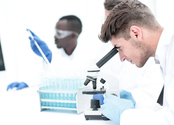 Rückansicht. eine Gruppe von Wissenschaftlern am Labortisch — Stockfoto