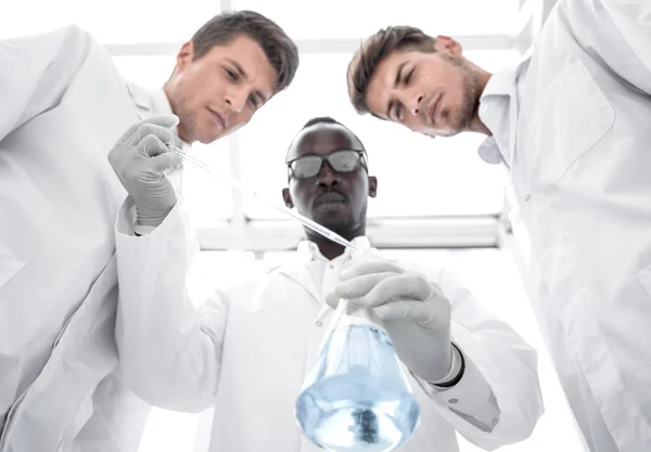 Skupina vědců zkoumá kapaliny v baňce. — Stock fotografie