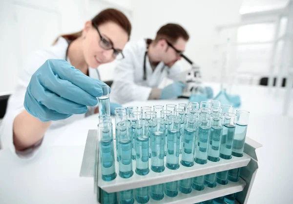Female researcher and her senior supervisor are doing investigations with test tubes — Stock Photo, Image