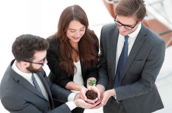 зеленая капуста в руках молодой бизнес-команды
