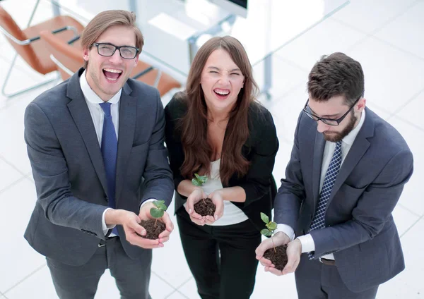 Tres colegas sostienen brotes jóvenes — Foto de Stock