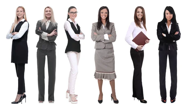 Sammlung abendfüllender Porträts junger Geschäftsfrauen — Stockfoto