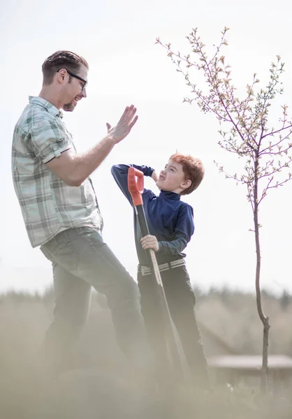 Mutlu baba ve oğul bir ağaç dikme — Stok fotoğraf