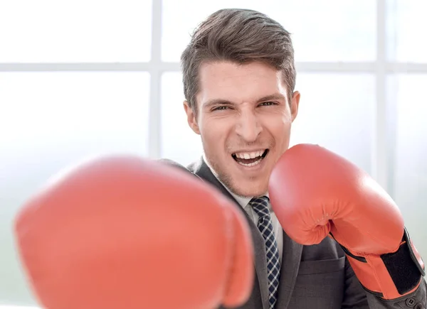 happy businessman in Boxing gloves