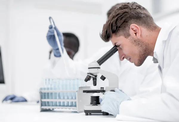 Vista posteriore. un gruppo di scienziati al tavolo del laboratorio — Foto Stock