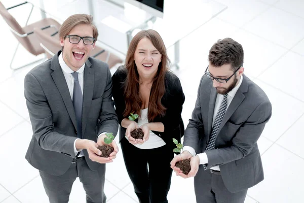 Tres colegas sostienen brotes jóvenes — Foto de Stock