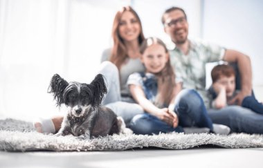 mutlu aile ile evde beslenen hayvan arka plan görüntüsü