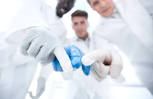 group of scientists pointing to the laboratory table