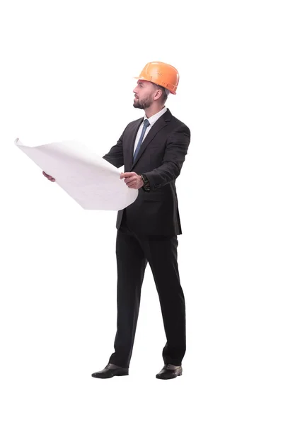 Hombre de negocios con casco mirando nuevos dibujos. aislado en blanco —  Fotos de Stock