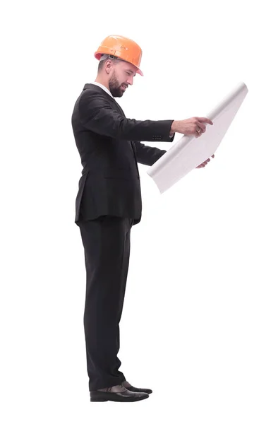 Hombre de negocios con casco mirando nuevos dibujos. aislado en blanco — Foto de Stock