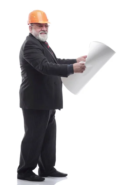 Mature successful architect with a roll of drawings. isolated on a white — Stock Photo, Image