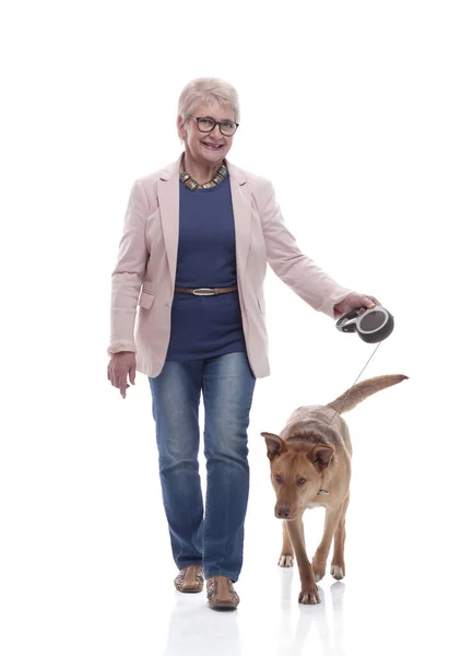 Вид сбоку. старшая леди и ее собака гуляют вместе — стоковое фото