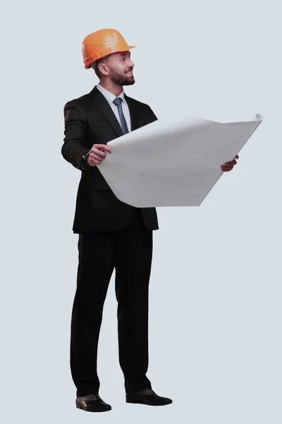 Hombre de negocios con casco mirando nuevos dibujos. aislado en blanco —  Fotos de Stock