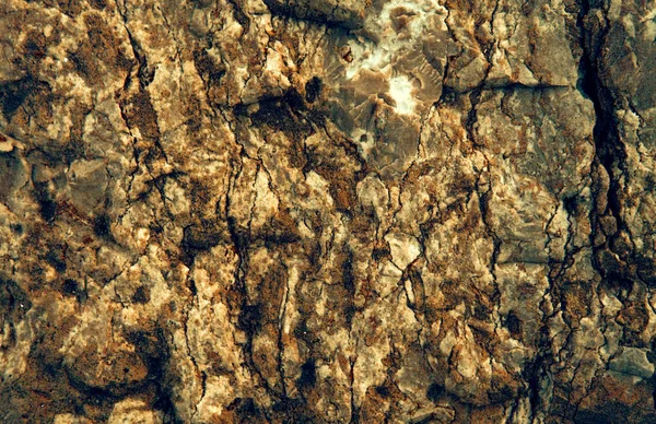 Πέτρινο Τοίχο Φόντο Από Πολύχρωμες Πέτρες — Φωτογραφία Αρχείου