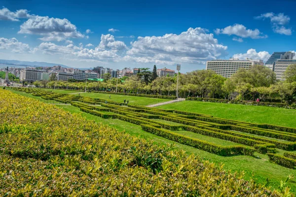Sloped scenic park featuring tree-lined walking paths. Lisbon Portugal