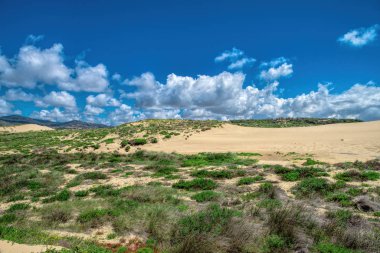 Dış Bankalar üzerinde ve Kıyı kumulları. Sintra, Portekiz