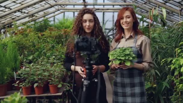 Cheerful female gardeners in aprons are talking and holding flowers while recording video for online blog about green plants using camera on tripod. — Stock Video