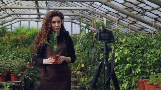Młoda kobieta właściciel cieplarnia jest nagrywanie wideo o ogrodnictwo jej videoblog stojący w szklarni i trzymając garnek kwiaty. Koncepcja ludzie i botanika. — Wideo stockowe