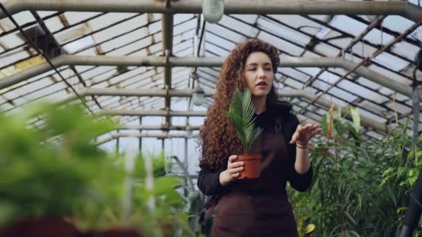 Professional female gardener is recording tutorial about gardening with camera standing inside spacious hothouse and holding pot plant. Farming and people concept. — Stock Video