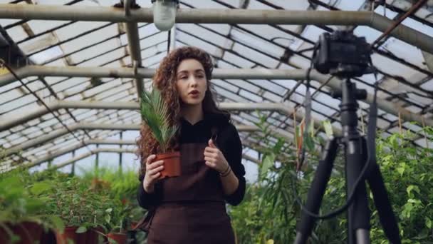 Jolie fille blogueuse populaire enregistre des vidéos sur les plantes pour son compte de médias sociaux avec caméra sur trépied. Jeune femme tient pot fleur et parler . — Video