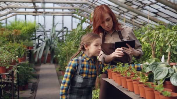 Užitečné dítě počítá pokojové rostliny ve skleníku, zatímco její matka je zadávání dat v tabletu a mluví se svou dcerou. Rodinný podnik a zemědělství koncepce. — Stock video