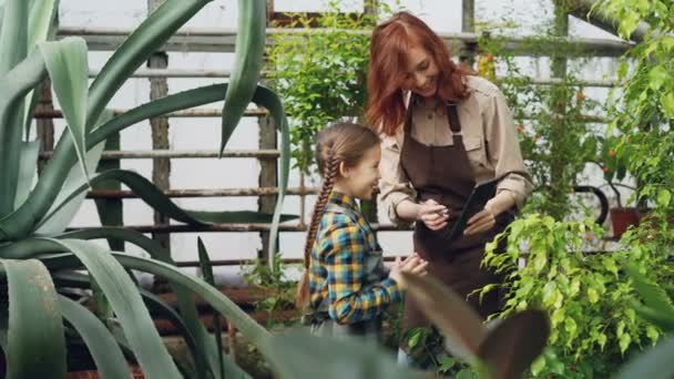 Okouzlující žena garderner a její malá dcera použití tabletu při práci ve skleníku společně. Moderní technologie, šťastná rodina a zahradnické koncepce. — Stock video