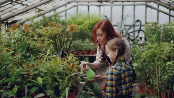 La alegre jardinera está rociando agua sobre las plantas y divirtiéndose con su adorable hijita. Cultivo de flores, personas y concepto familiar . — Vídeos de Stock