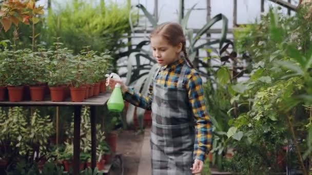 穿着围裙的可爱女孩正在用喷雾瓶浇花, 而她漂亮的妈妈在温室里工作。家庭事务, 有趣的爱好和人的概念. — 图库视频影像