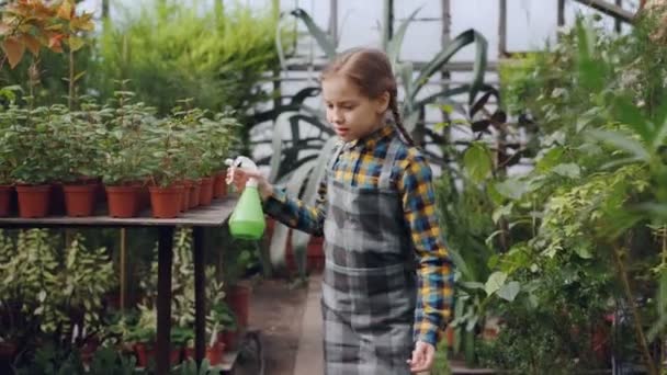 Menina adorável no avental está regando flores com garrafa de spray, enquanto sua mãe bonita está trabalhando em estufa. Negócios familiares, hobby interessante e conceito de pessoas . — Vídeo de Stock