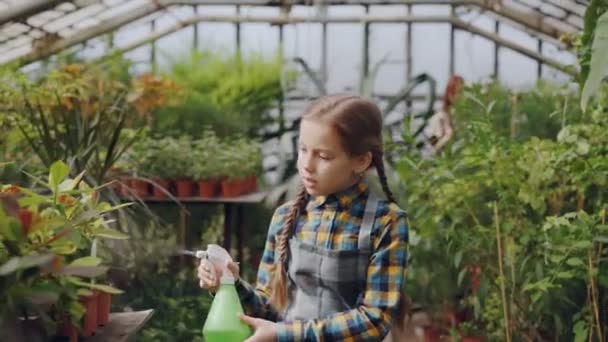 A dcera majitele skleníkových pomáhá matce pracovišti kropení vodou na sazenice a květiny ve skleníku, zatímco její matka pracuje v pozadí. — Stock video