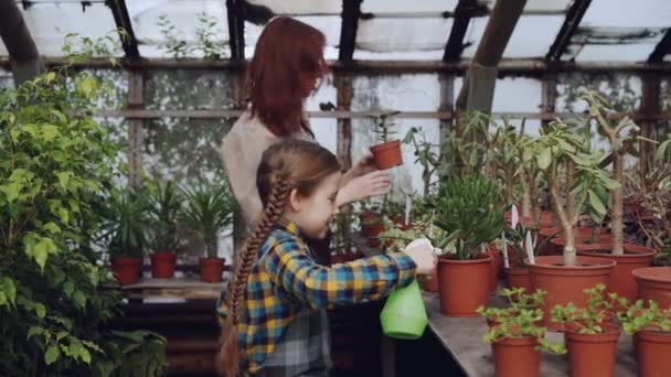 La niña curiosa está ayudando a su madre a rociar las plantas con agua de la botella de spray mientras trabajan juntos en el huerto. La infancia, la gente y el concepto de flores en crecimiento . — Vídeo de stock