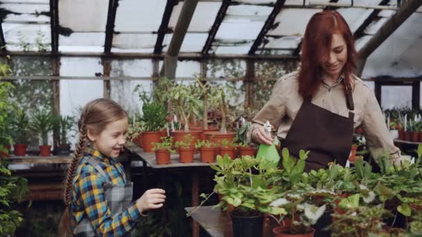 Bäuerin und ihr süßes Kind waschen grüne Pflanzen mit Sprühflasche, während sie im Obstgarten gärtnern. Elternschaft, Menschen und das Konzept des Blumenanbaus. — Stockvideo