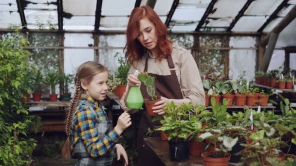 Ung kvinna tvår växtblad i fruktträdgård medan dottern nyfiken är rörande blommor. Barn är intresserade av hennes mödrar arbete, de pratar och ler. — Stockvideo