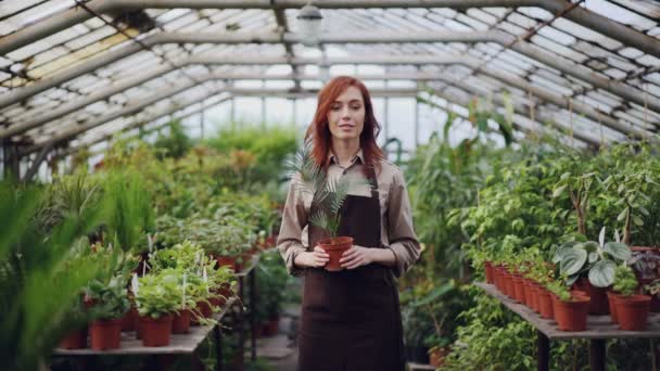 앞치마 온실 안으로 서, 남 비 식물을 들고 웃 고 있는 아름 다운 젊은 여자 농부의 초상화. 과수원, 사람과 성장 꽃 개념. — 비디오